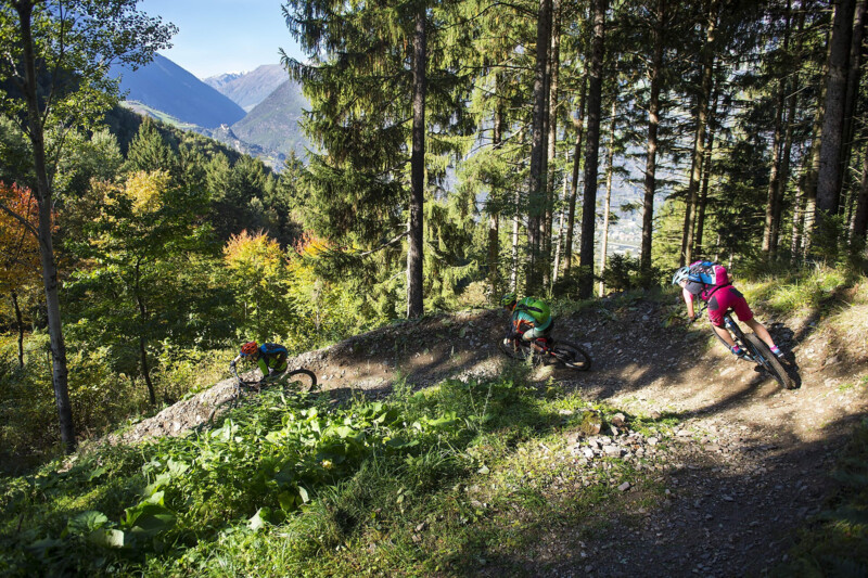 Lupo Trail