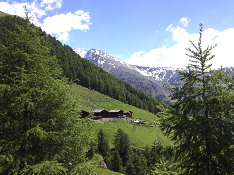 Kurzras - Finailhof