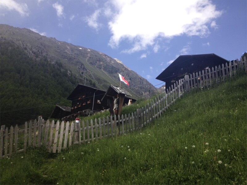 Kurzras - Finailhof