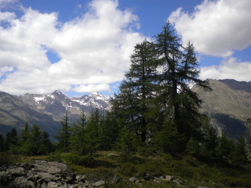 Bergtour Nockspitze