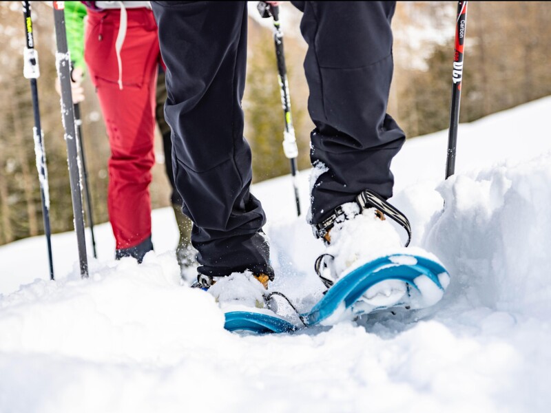 Schneeschuhwanderung Lafetzalm