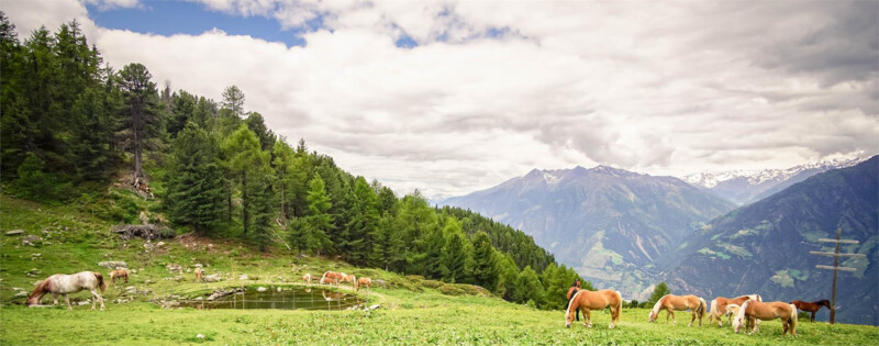 Naturnser Alm