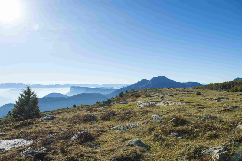 Naturnser Alm