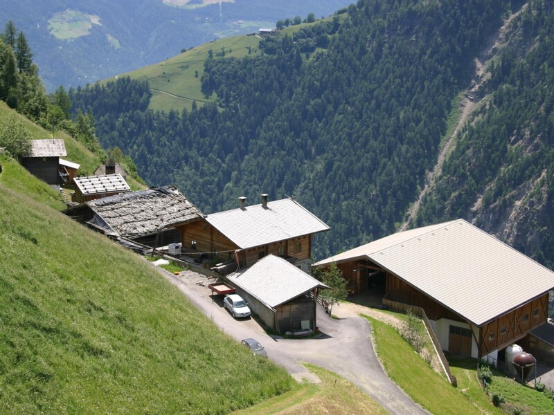 Wald Hofschank