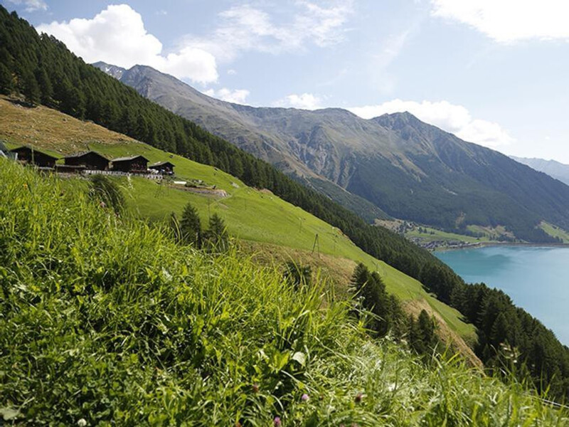 Finailhof