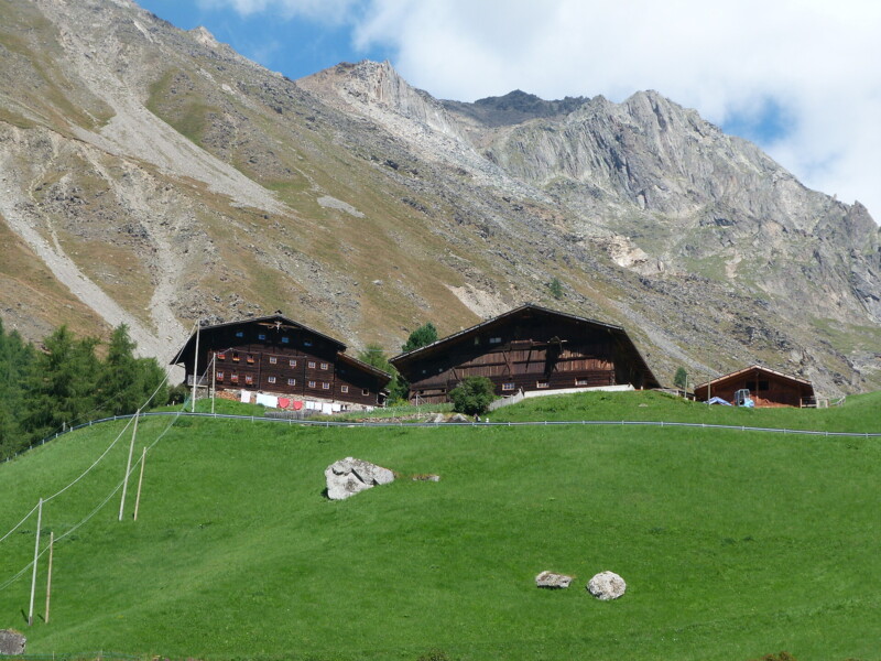 Tisenhof