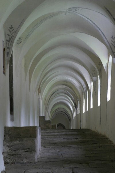 Kartäuserkloster "Allerengelsberg" - Klosteranlage Karthaus