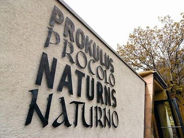 Prokulus Museum 